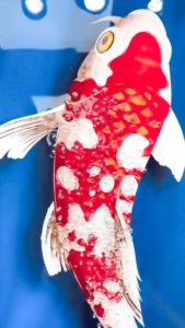 クリスタル ポーセリン キャンバス 鯉A with ダイヤモンド 120*60